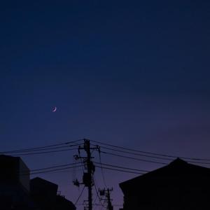 成人久久久精品高清视频
