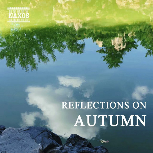 成人久久久精品高清视频
